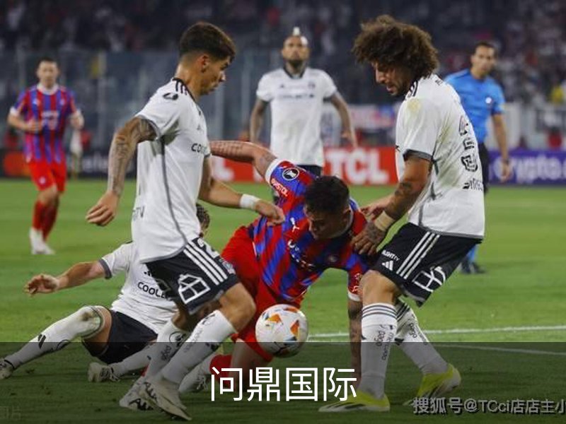 问鼎国际概况